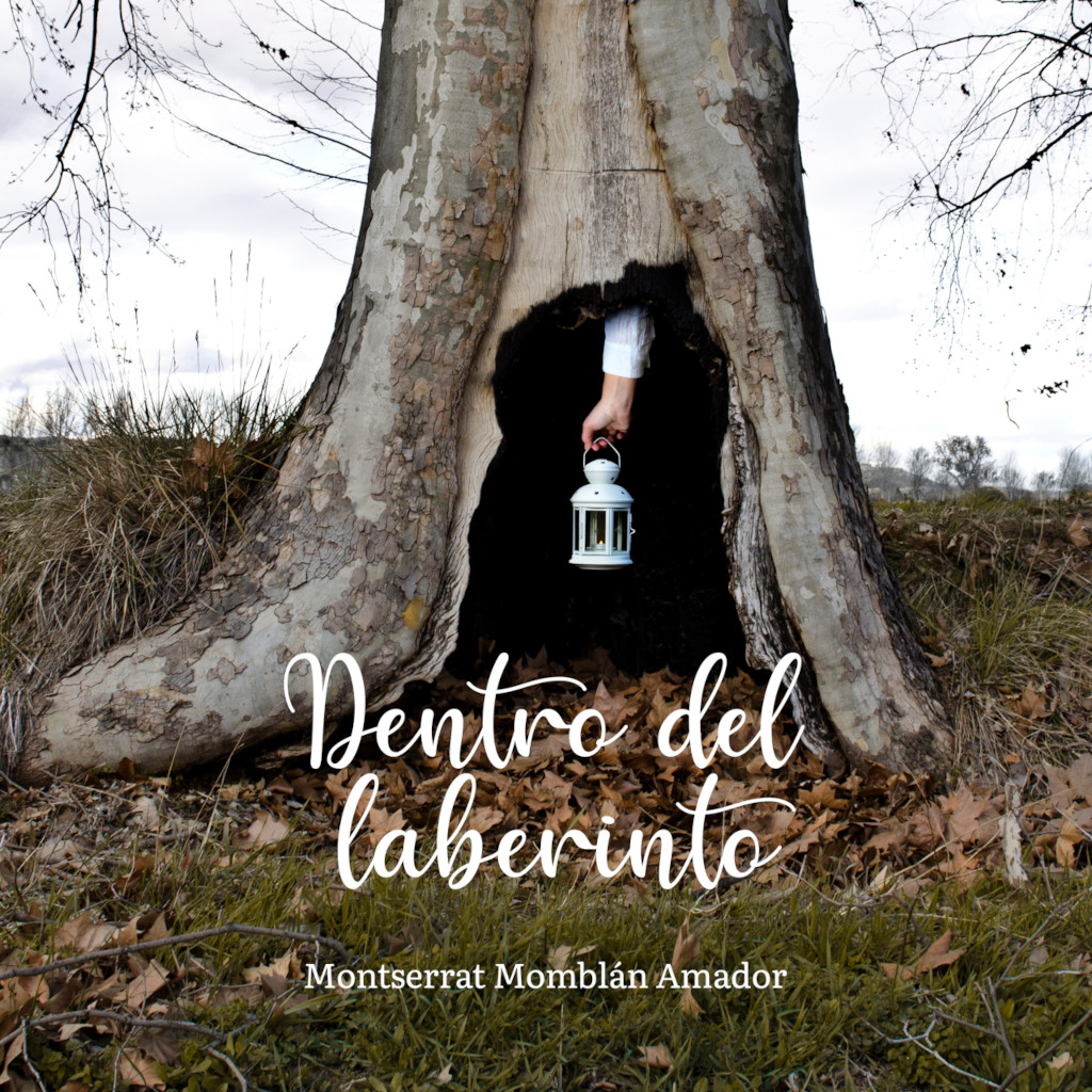 Dentro del laberinto